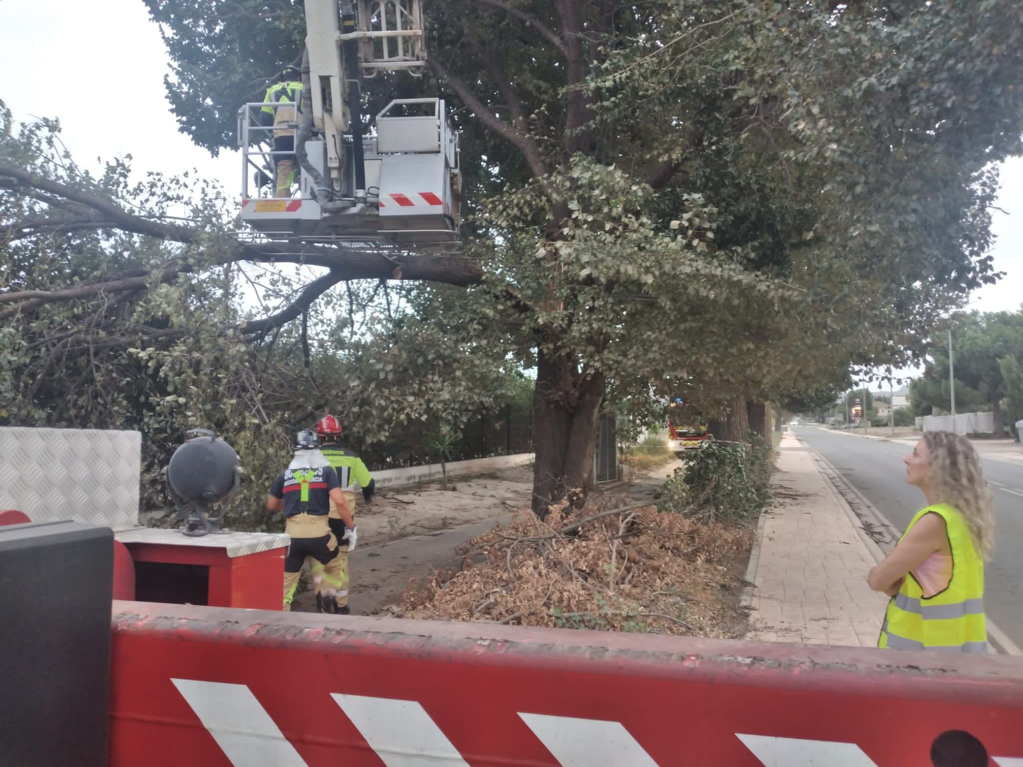 Seis tornados han provocado caída de ramas, cortes de luz y teléfono en Lorca.