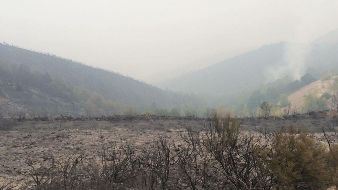 Un fuego registrado en el Bierzo