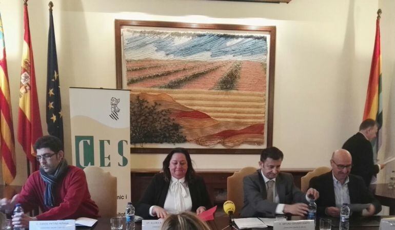 El Consejo Económico y Social presenta su informe