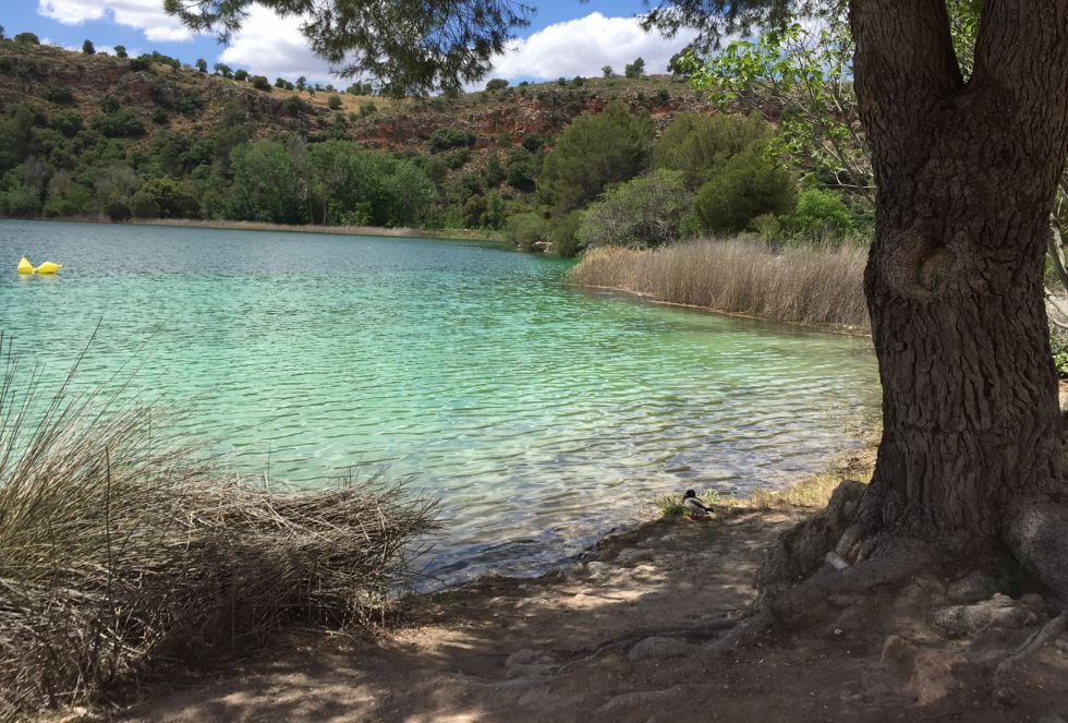 En el Día Mundial del Medio Ambiente, estado actual de las Lagunas de Ruidera, entre Ciudad Real y Albacete