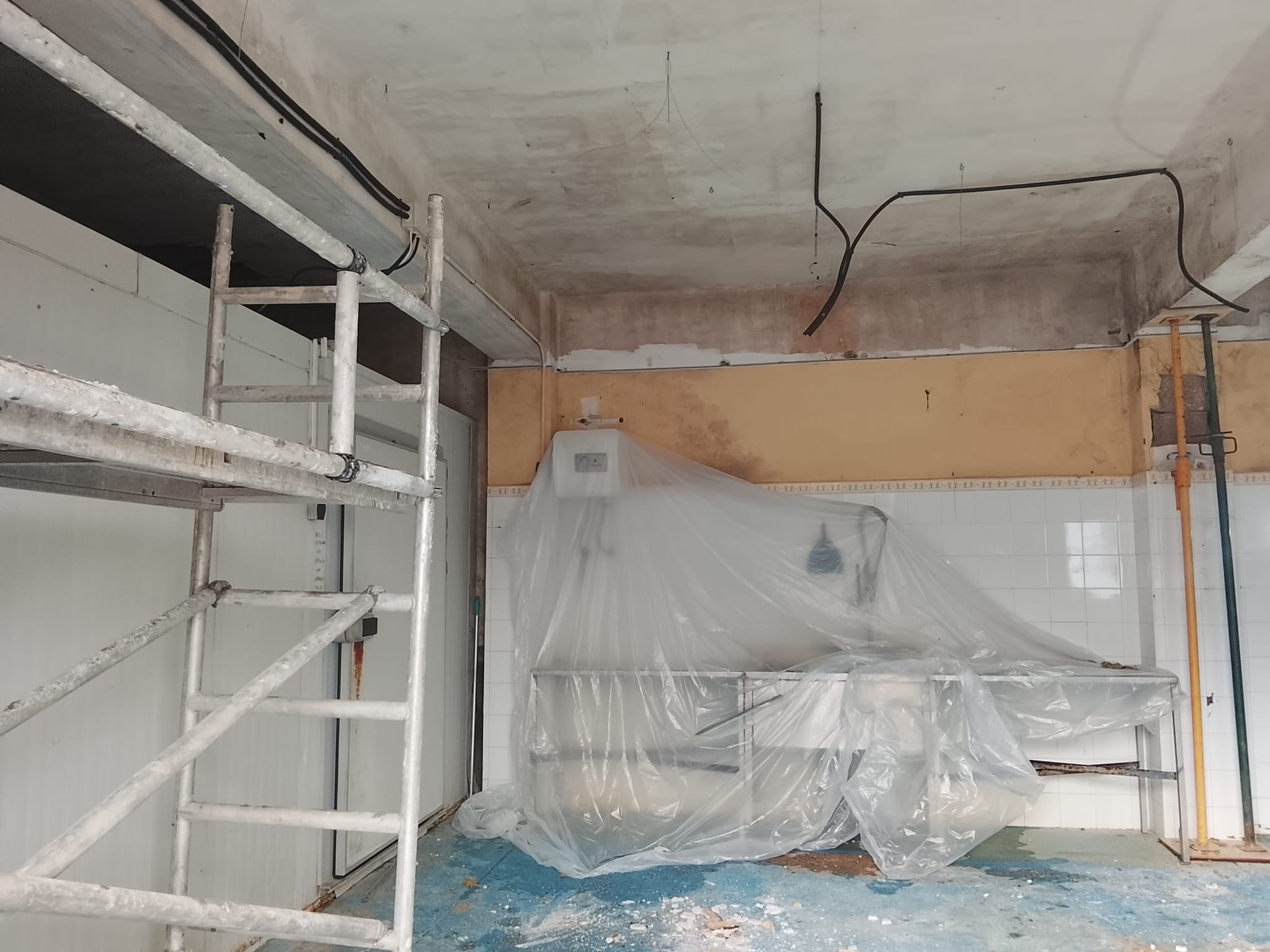 Daños causados por las lluvias en las instalaciones del Zoo botánico de Jerez