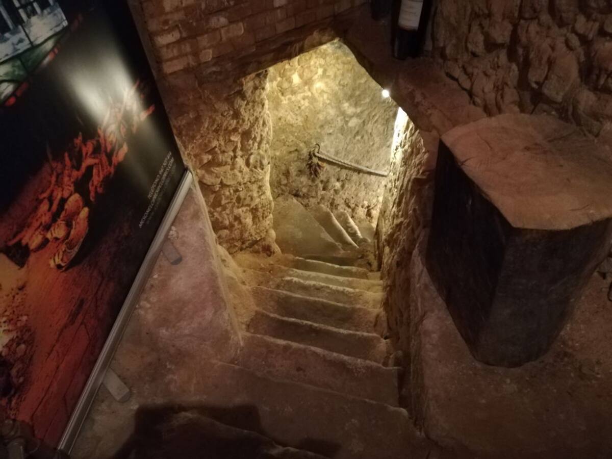 Pasado, presente y vino