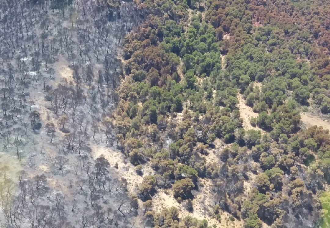 Esta es la imágen de cómo ha quedado el lugar tras el incendio declarado hace unos días en Quesada