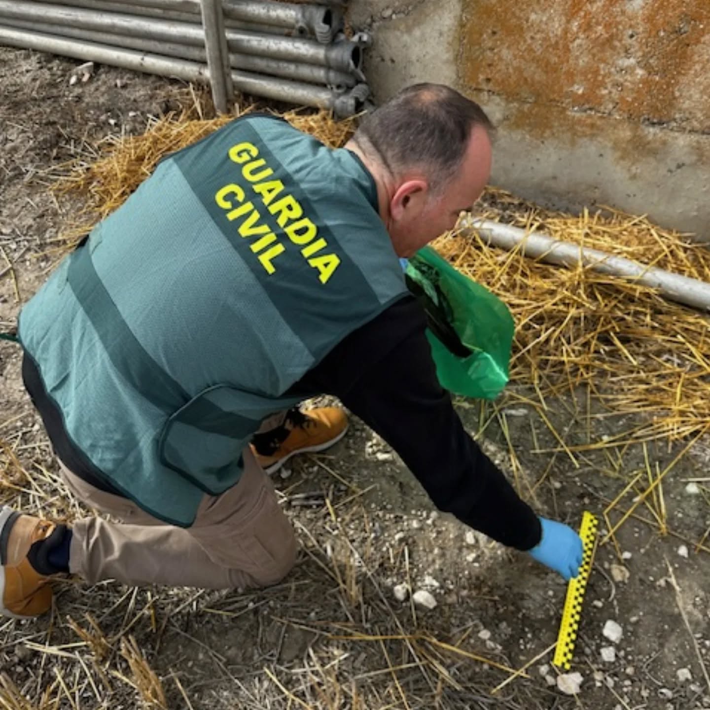 Guardia Civil de Palencia
