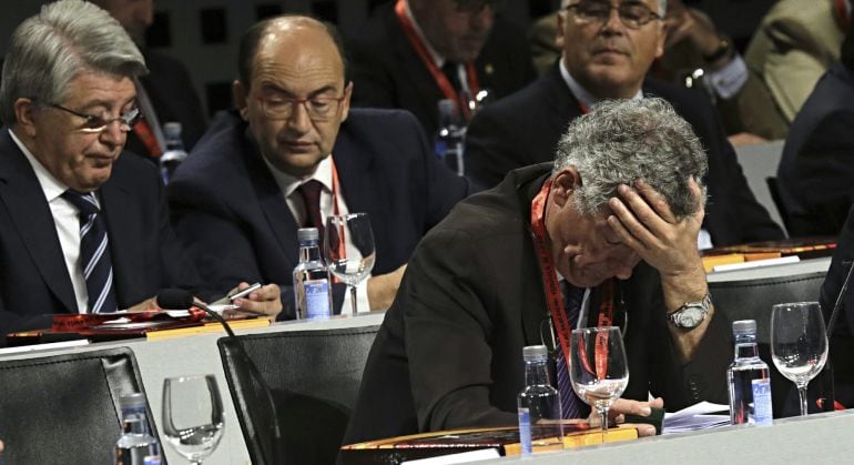 GRA102. LAS ROZAS (MADRID), 14/07/2015.- El presidente de la Federación Española de Fútbol (RFEF), Ángel María Villar (delante), y el presidente del Atlético de Madrid, Enrique Cerezo (i), entre otros, durante la Asamblea General de la Real Federación Española de Fútbol que se celebra en la Ciudad del Fútbol de Las Rozas, en la que, entre otros asuntos, se sorteará el calendario de la Liga BBVA y Adelante de la temporada 2015-2016. EFE/Zipi