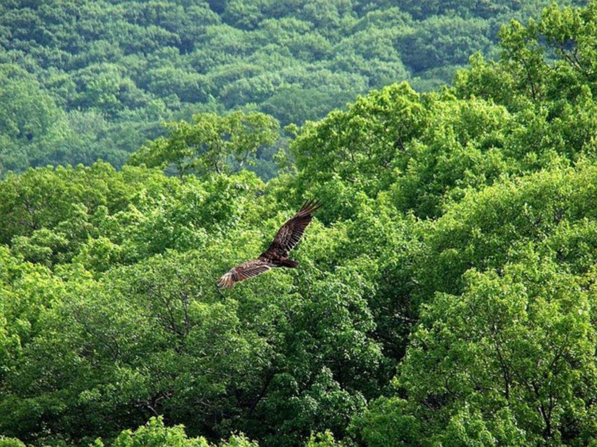 La huella de carbono en la jornada sobre sostenibilidad del medio rural y su función en la lucha contra el cambio climático que se celebra en el Campus