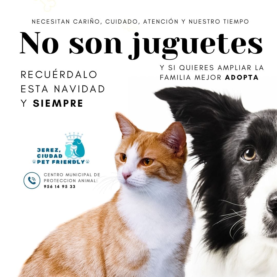 Cartel de la campaña impulsada por el Ayuntamiento de Jerez