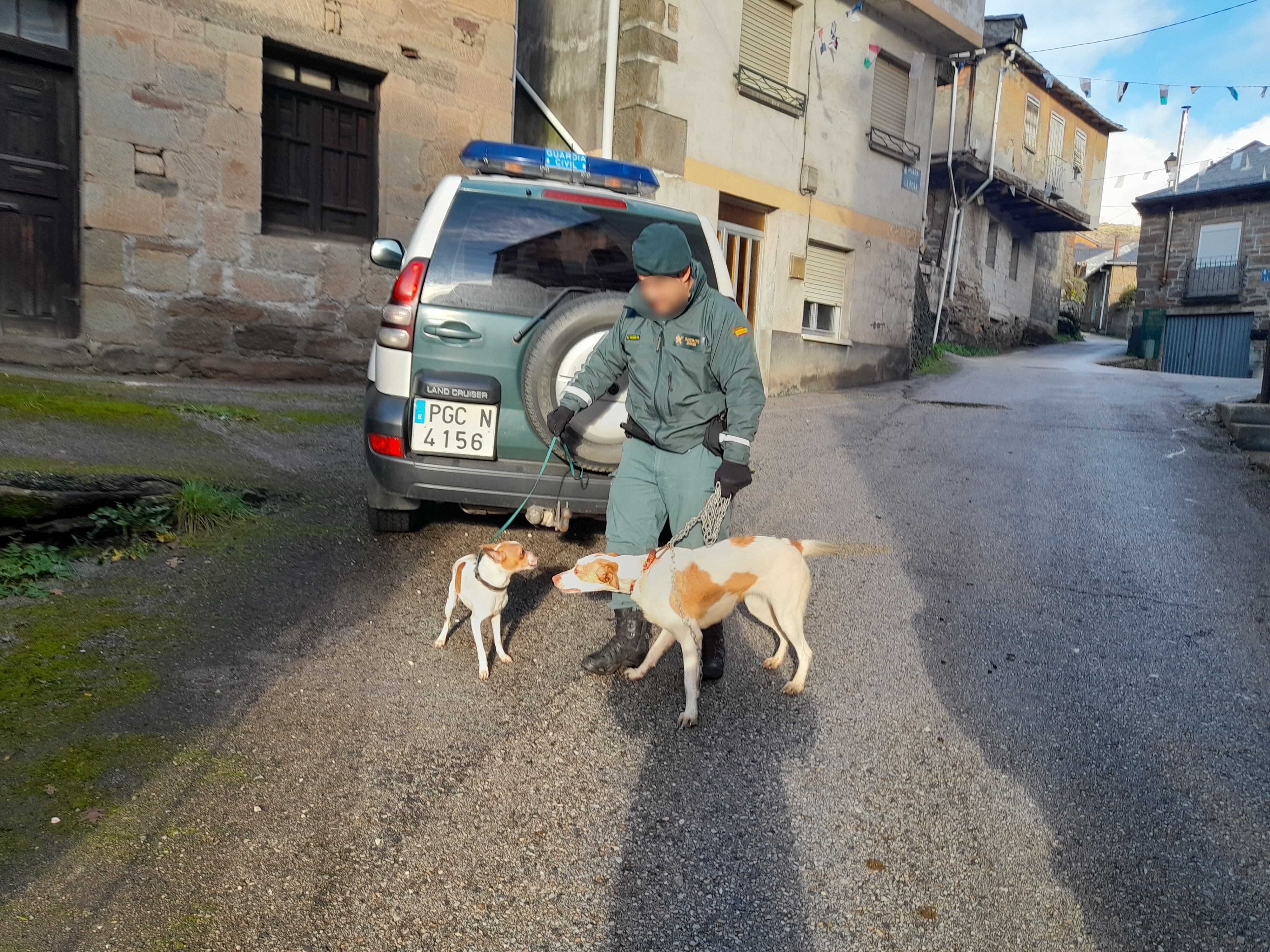 Los dos animales recuperados