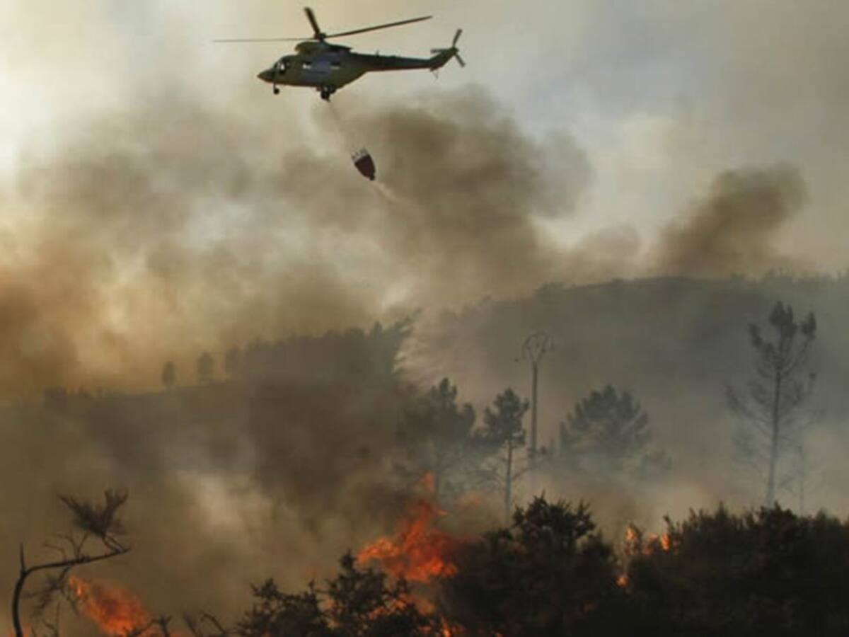 Llegan los incendios forestales