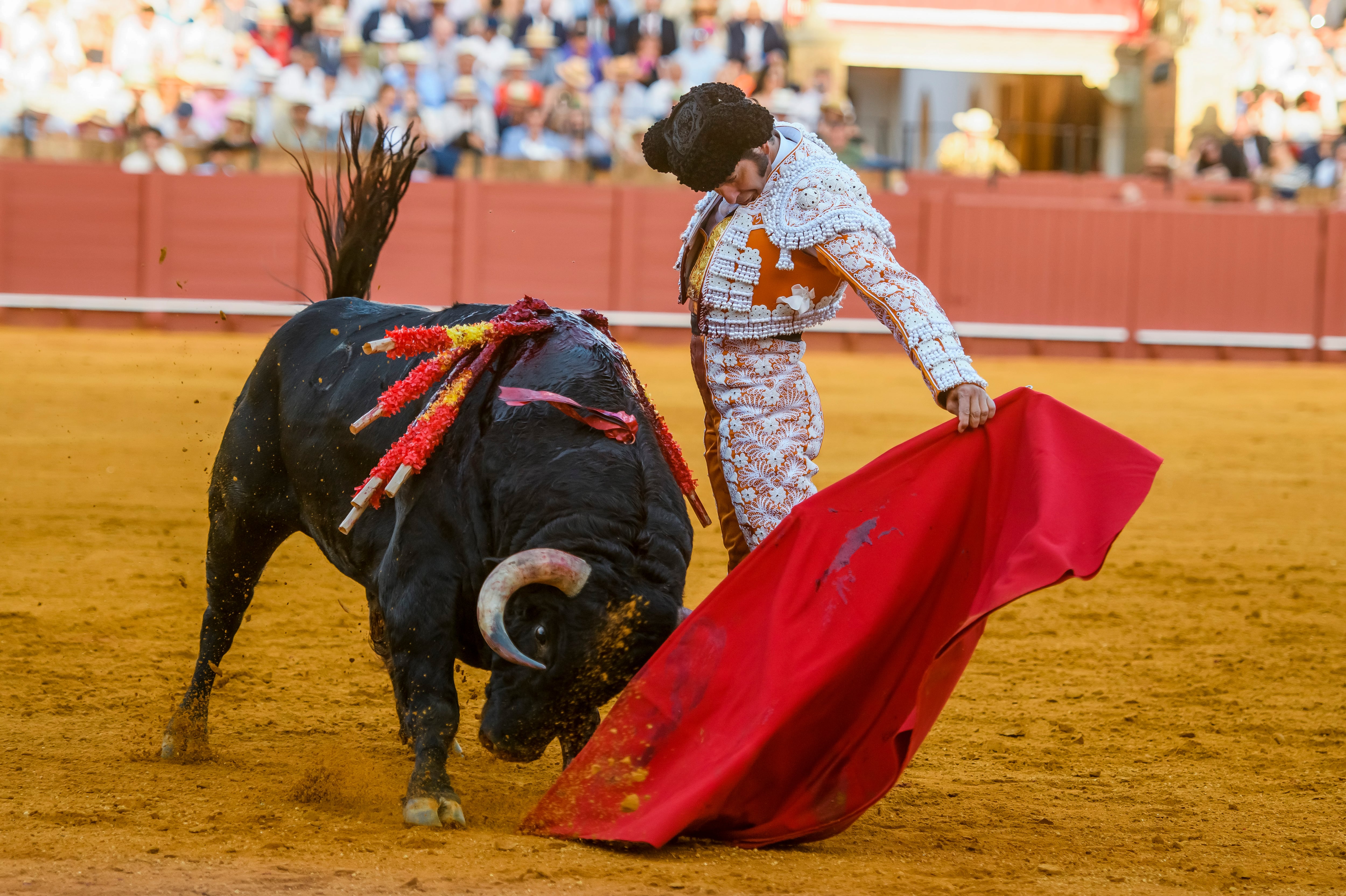 SEVILLA, 24/04/2023.- El diestro Morante de la Puebla en la lidia a su segundo toro, esta tarde en la Plaza de la Maestranza de Sevilla, durante el ciclo continuado da festejos de la Feria de Abril. EFE/Raúl Caro
