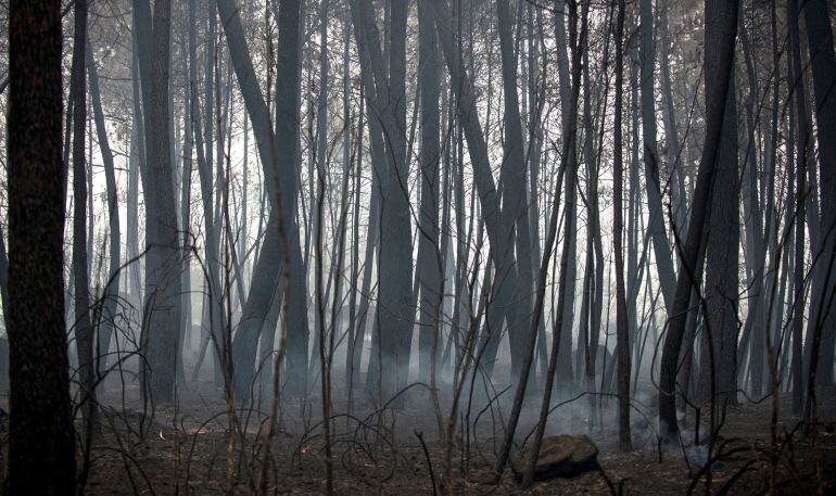 La comunidad gallega vive otra jornada de lucha contra el fuego tras anochecer con más de una decena de puntos en riesgo real para la población. En la imagen, paisaje calcinado por el fuego, en la zona de Abelenda das Penas (Carballeda de Avia).