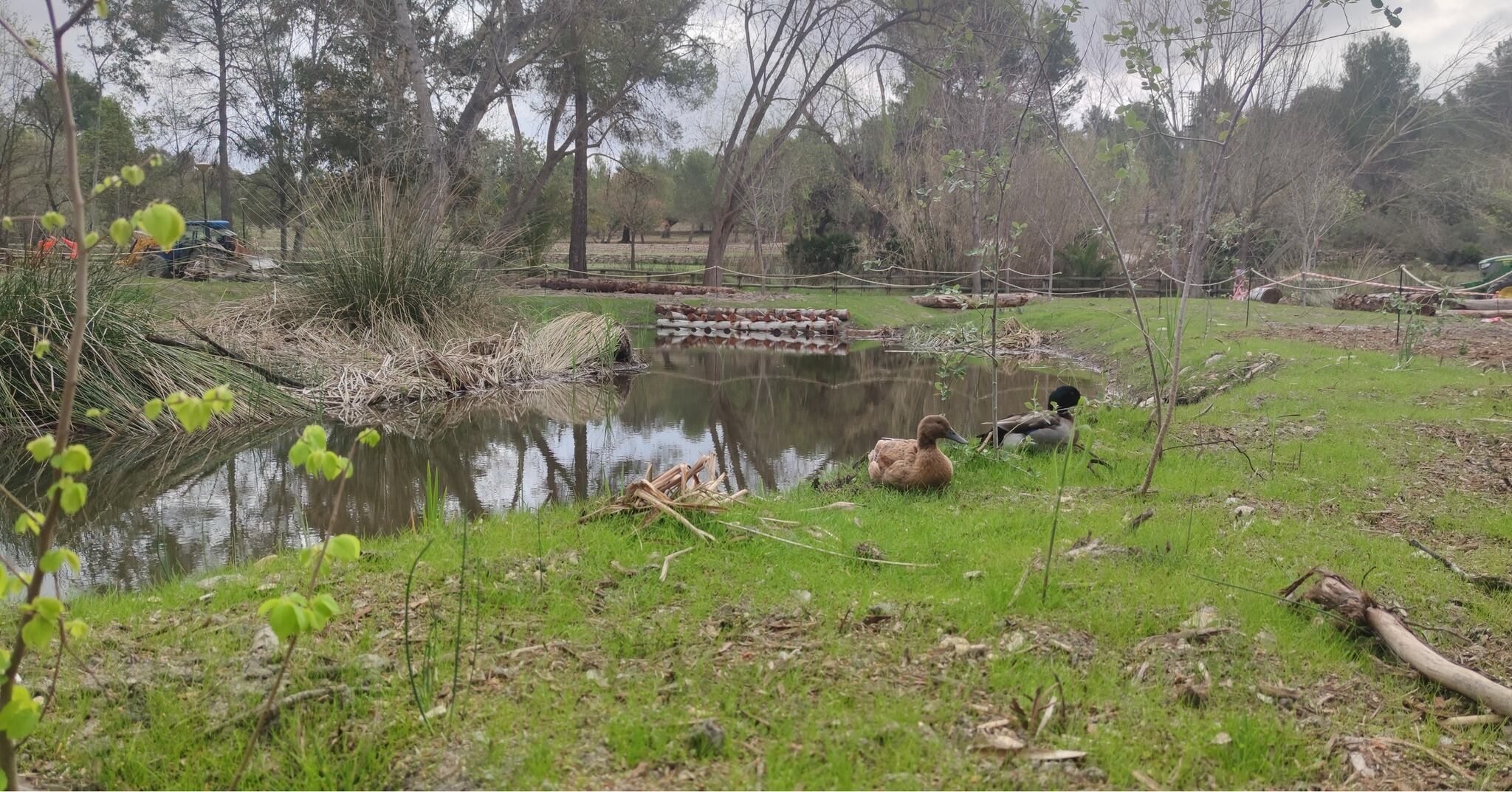 Zona húmeda recuperada por el Consell en San Vicente de Llíria