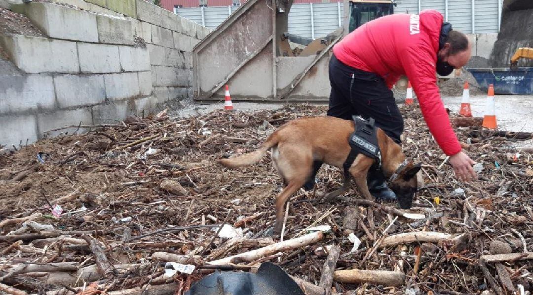 El arrestado es el presunto autor del homicidio de un varón cuyos restos fueron localizados en enero tanto en la zona de Arrigunaga, en Getxo, como en la ría