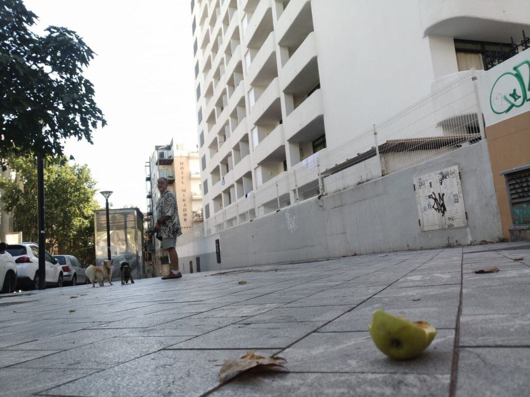 Objetos lanzados desde el Hotel Palma Bellver.