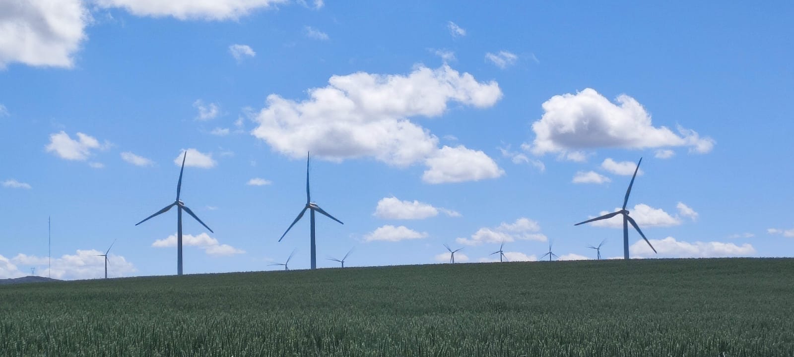 Parque eólico en Navarra