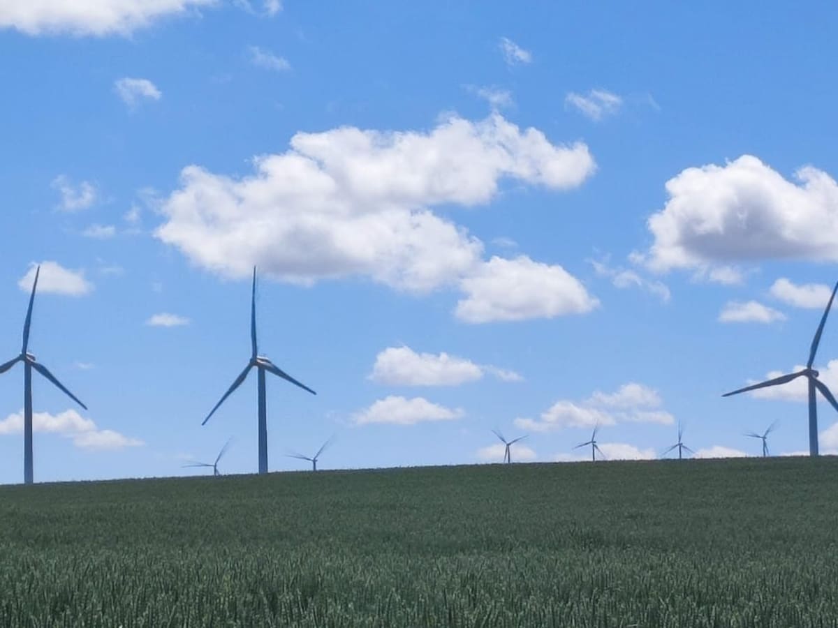 Un año del apagón: las renovables salen reforzadas en Navarra