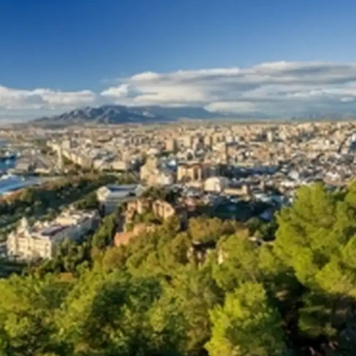 Málaga protagonizó uno de los mayores avances en innovación entre 2022 y 2024, según la Fundación Cotec