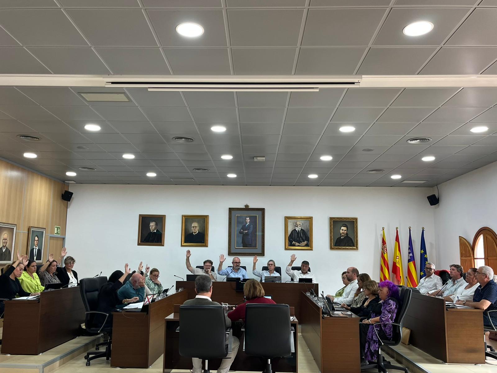 Un momento durante el pleno