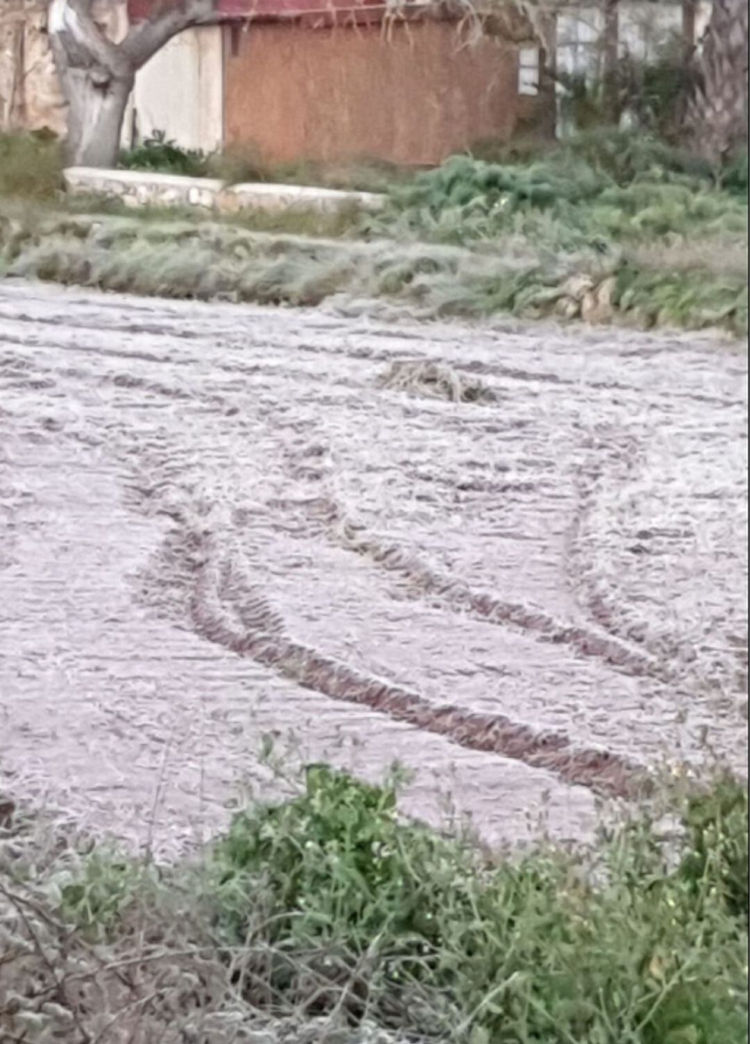 Imagen de la zona de Can Curuné en Sant Joan con el campo helado esta mañana