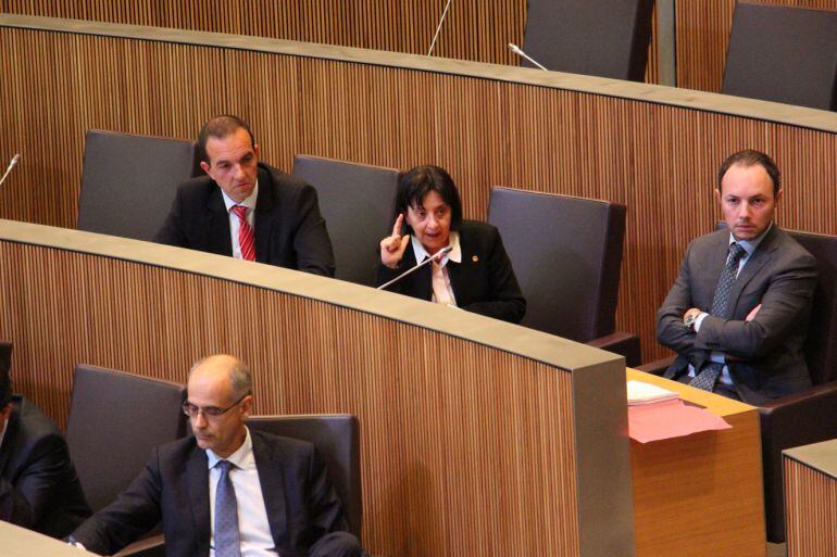 Rosa Ferrer a la tribuna del Govern al Consell General.