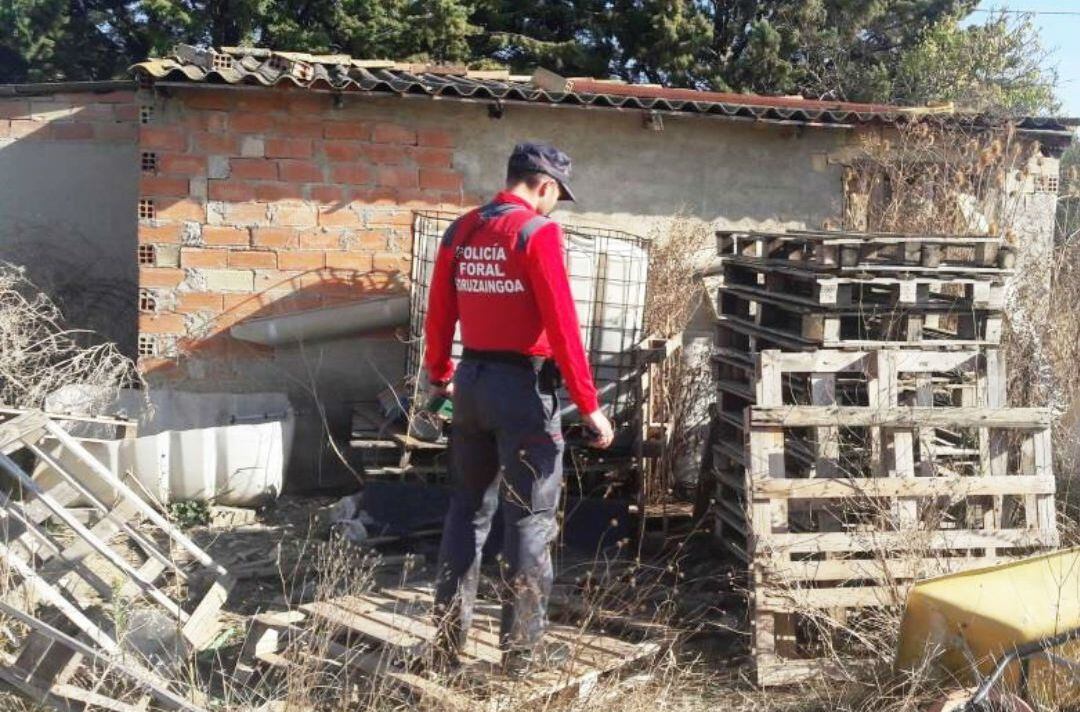 Agente en el lugar donde vivía el animal