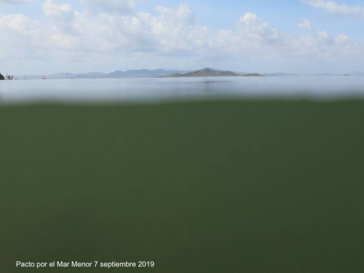 "La laguna salada se vuelve a oscurecer", según Pacto por el Mar Menor