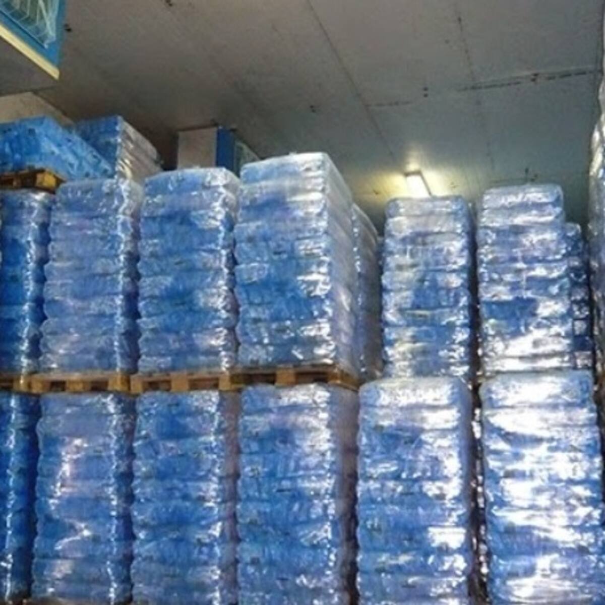 Una empresa jiennense produce 250 toneladas diarias de hielo que resultan insuficientes para satisfacer la demanda actual