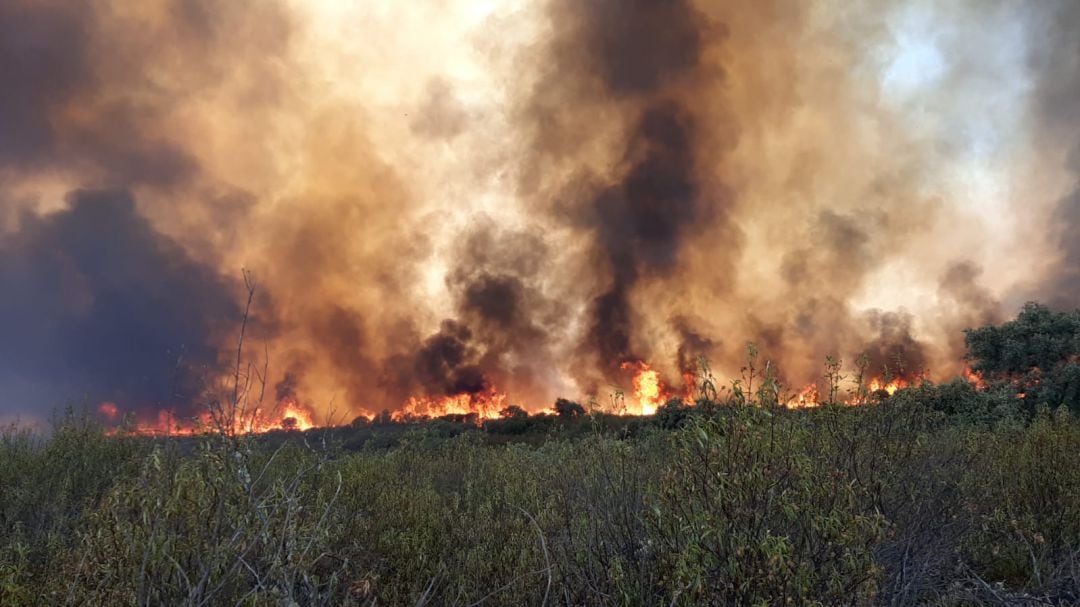 Panorámica del incendio declarado este mediodía en Espiel