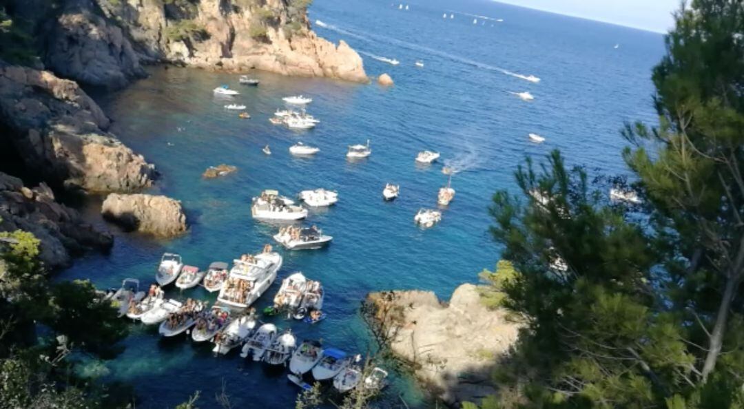 Una vintena d'embarcacions en una festa a la cala d'en Massoni