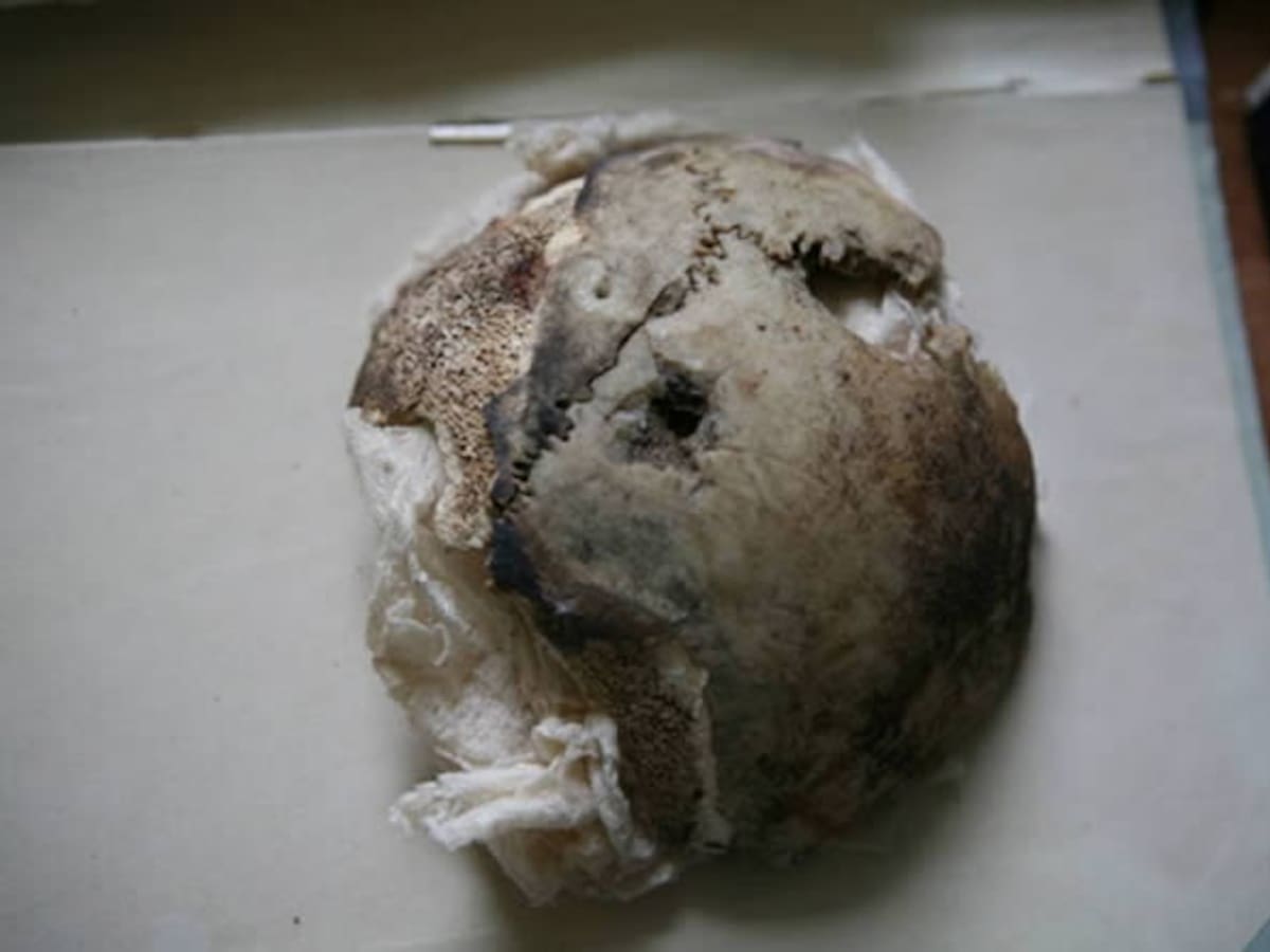 El cráneo de Hitler pertenece a una mujer