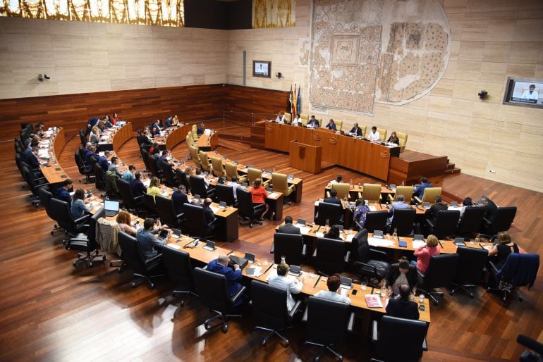 El Pleno de la Asamblea de Extremadura ha aprobado el Proyecto de Ley de Medidas Tributarias.