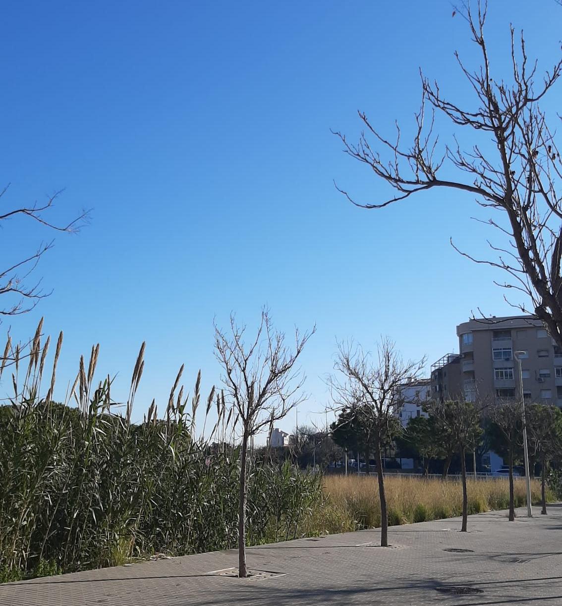 Cielo despejado en la zona de Santa Ana de Gandia.