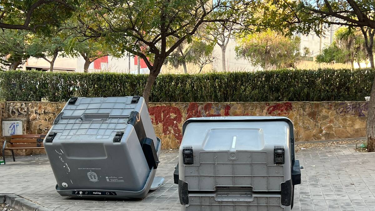 Colegios, mercadillos y actividades de ocio afectados por el fuerte viento en Alicante