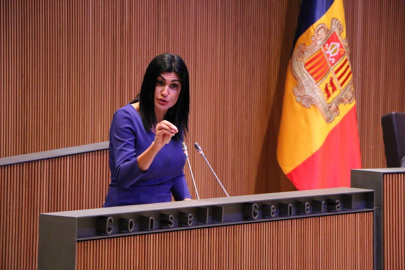 Montaner durant la compareixença al Consell General.