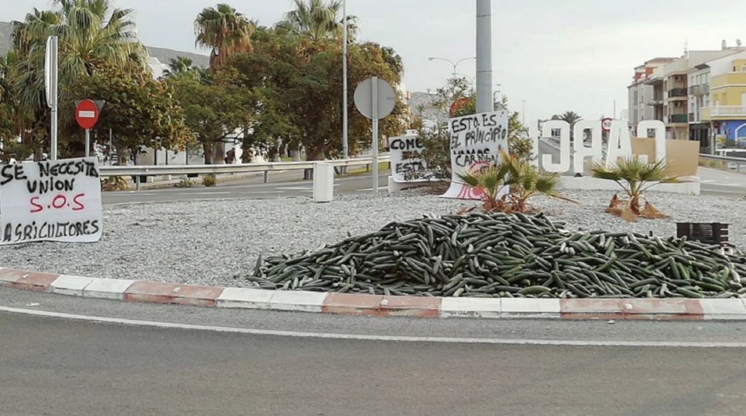 Agricultores lanzan pepinos en la rotonda de Carchuna como medida de protestas por los bajos precios