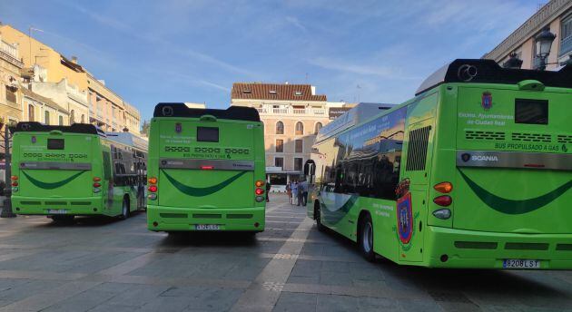 Imagen de los tres autobuses nuevos que empezarán a circular el próximo lunes en Ciudad Real