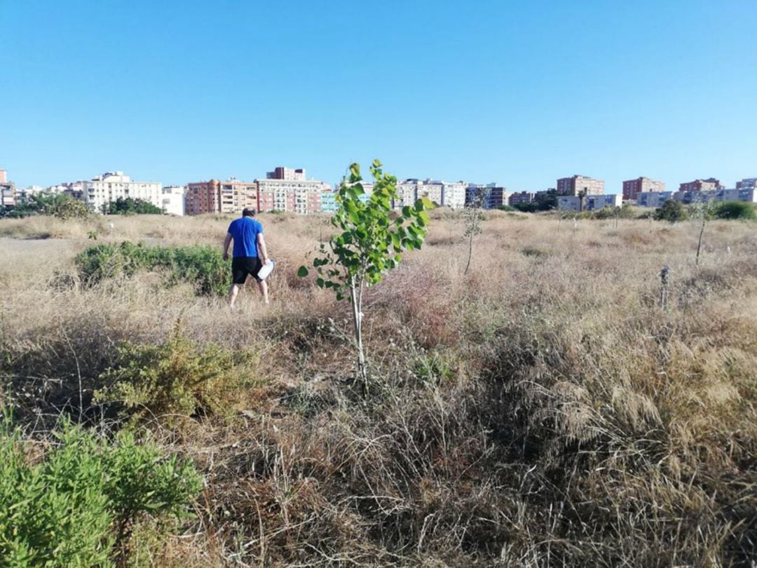 La plataforma Bosque Urbano denuncia que Urbanismo abre, en pleno agosto, el plazo de alegaciones al futuro en los terrenos de Repsol