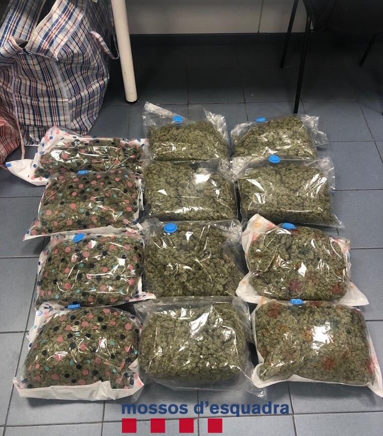 Marihuana localitzada pels Mossos en un vehicle, al polígon del Segre