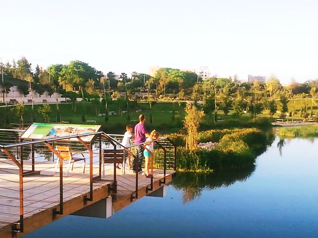 Parque inundable La Marjal (Alicante)