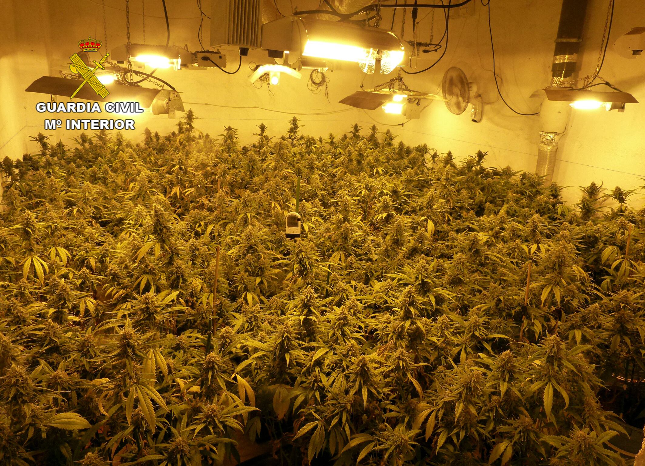 Imagen del invernadero que ha sido desmantelado