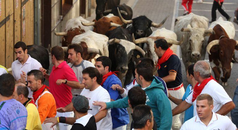 Encierros de la localidad segoviana de Cuéllar