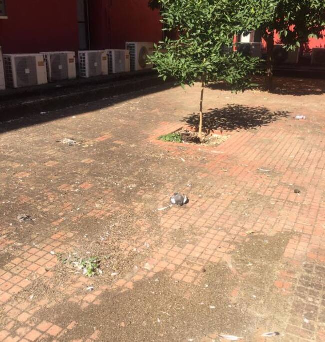 Patio interior del centro de salud del Hospital de los Marqueses.