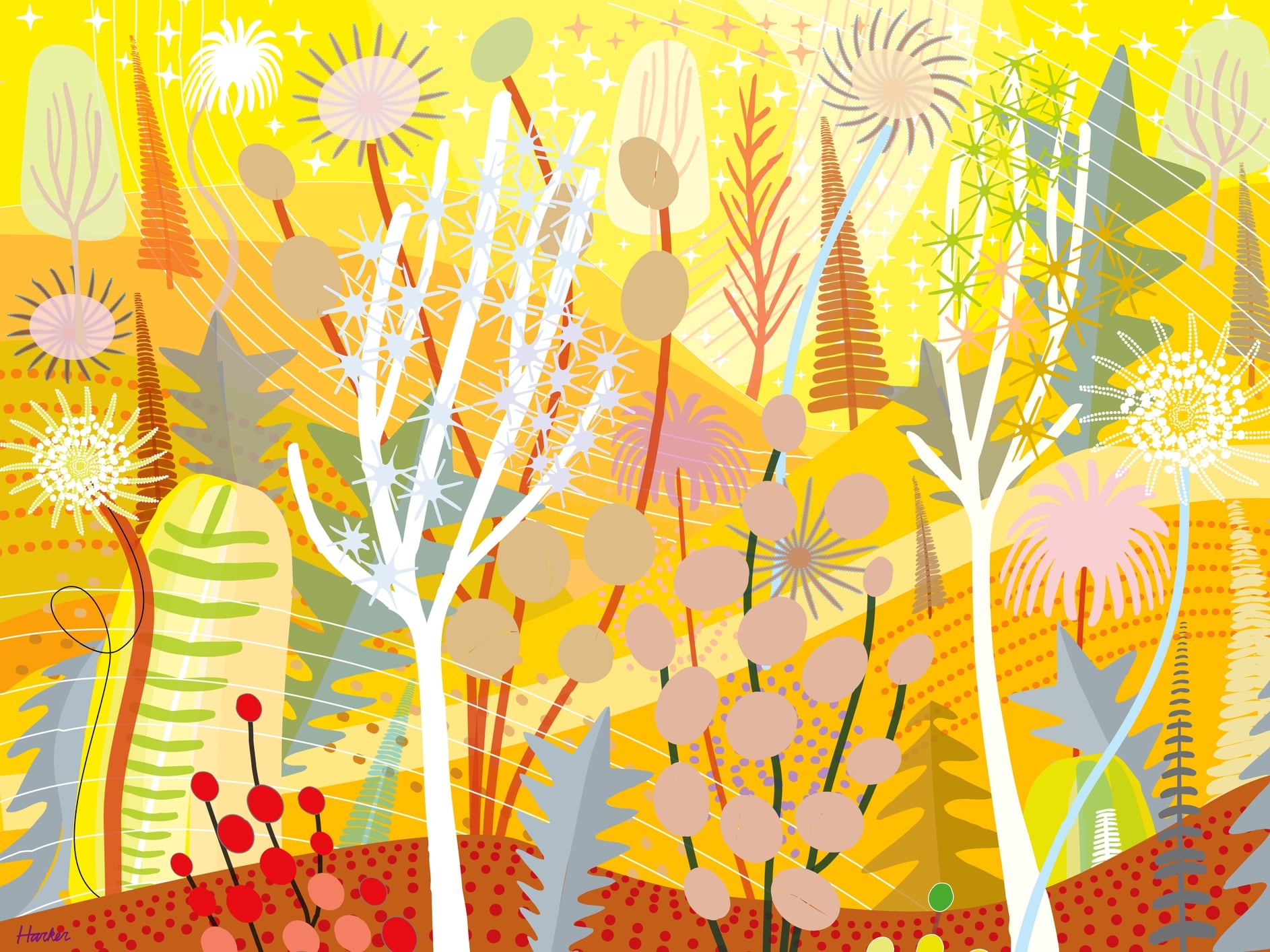 Sinaloa Lemon Summer (Charles Harker)