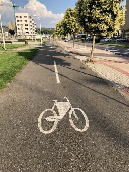 Ciclistas y peatones juntos pero no revueltos en la ciudad de León