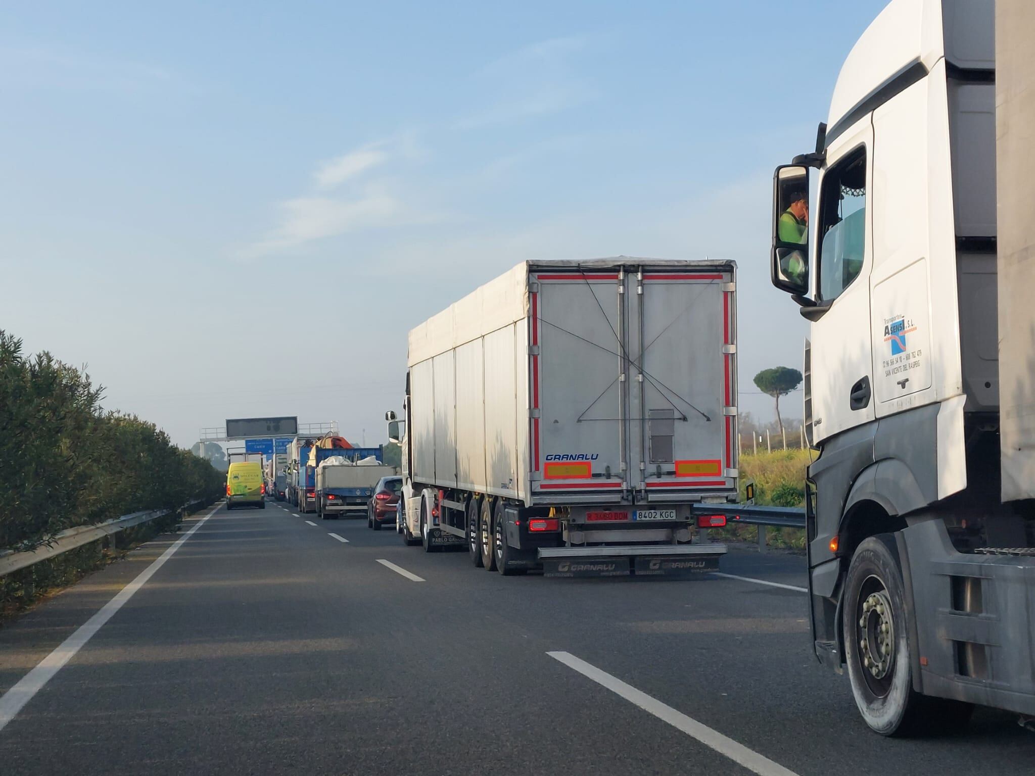 La caravana de vehículos por la N-IV, a la salida de Jerez