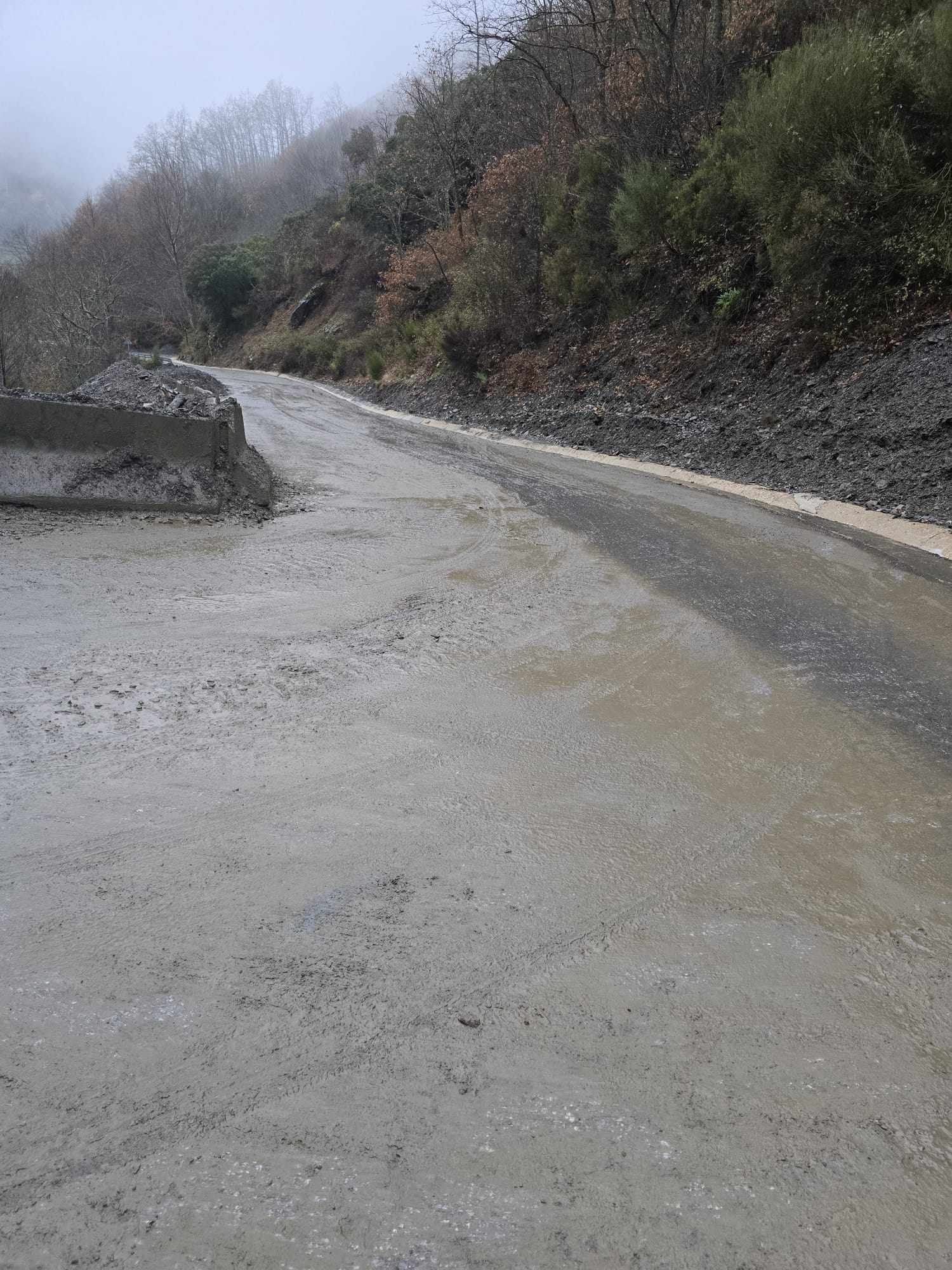 Carretera a Peñalba de Santiago