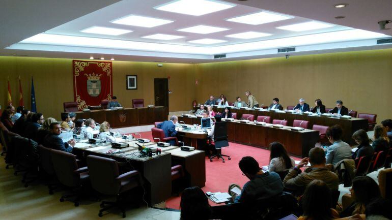 Pleno del 29 de octubre