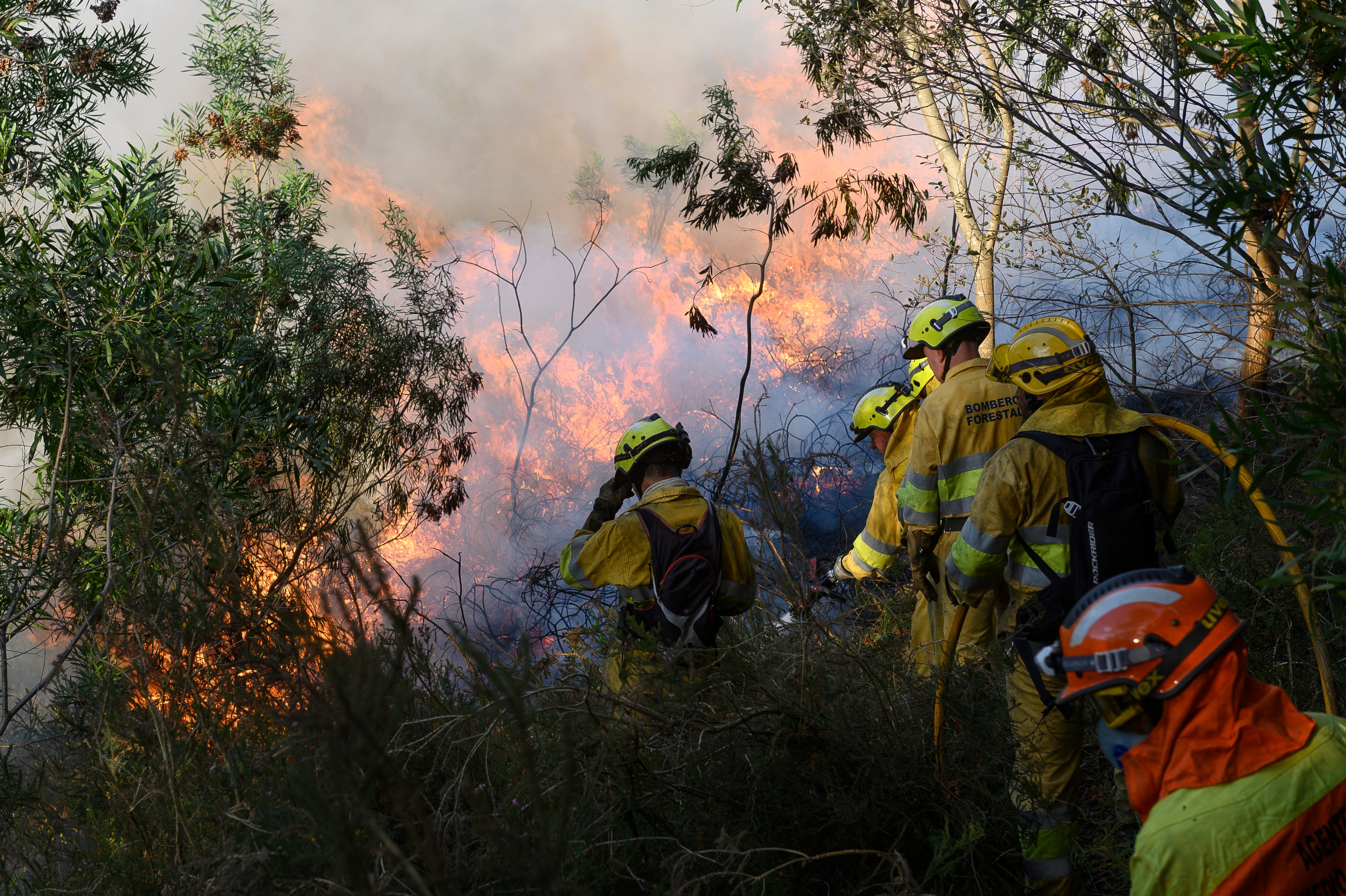 Agentes del Medio Natural y Bomberos Forestales del Gobierno de Cantabria durante los trabajos de extinción de un incendio forestal.