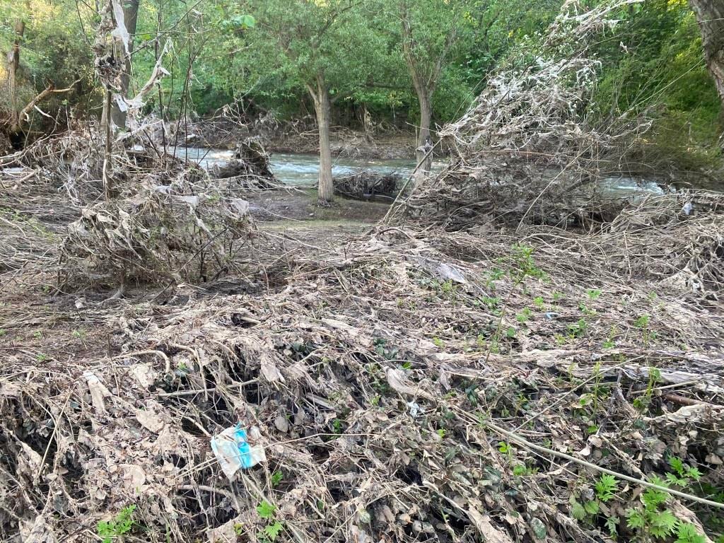 Basura y maleza en el río Henares de Guadalajara