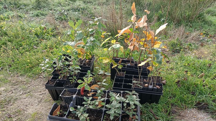 SER Sostenibles 231225